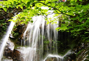  安吉2天>藏龙百瀑 天下银坑 大竹海 中南百草原
